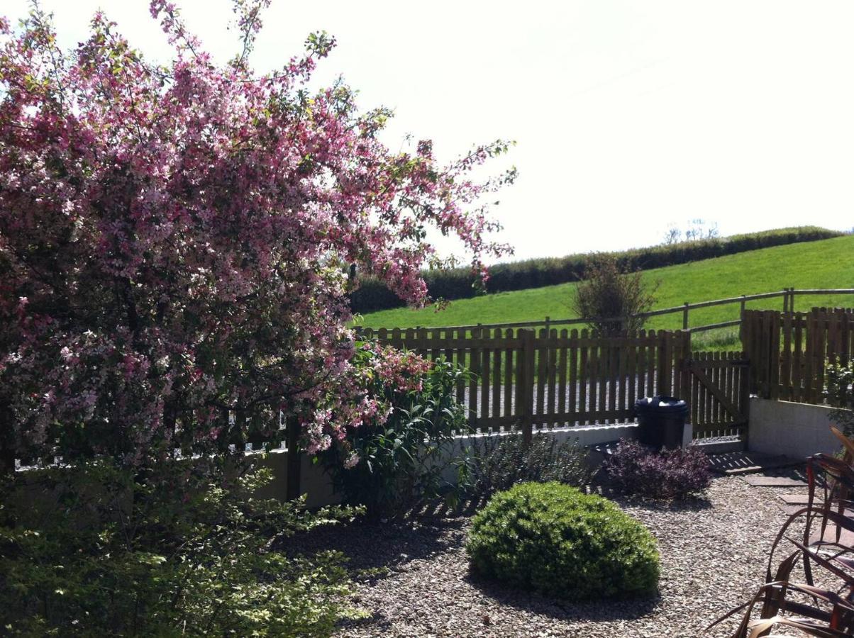 Ashton Cottages Cheddar Ngoại thất bức ảnh